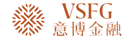VSFG 意博金融